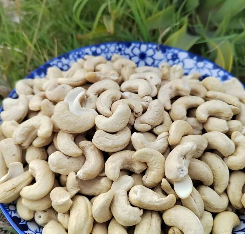 /storage/photos/1/Images/raw_nuts/raw_nuts/08543381.png